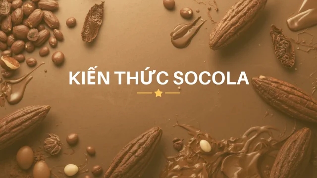 kiến thức socola